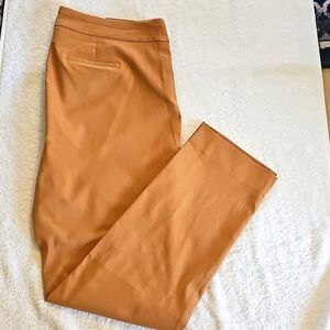 NEW JM Collection Plus Size Pull On Cambridge Pants Canyon Trail 1X